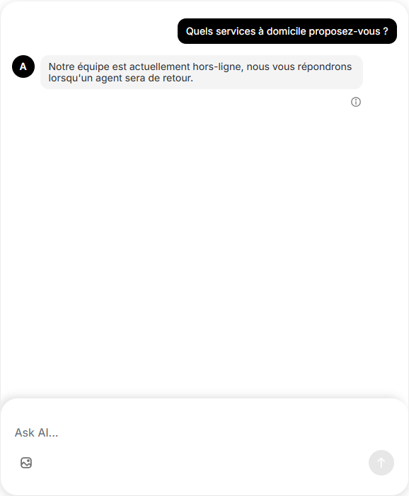 Interface Chatbot standard frustrante